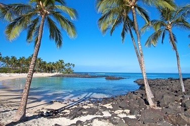 Infectious Diseases Practice Updates 2023, Waikoloa Beach, Hawaii, United States