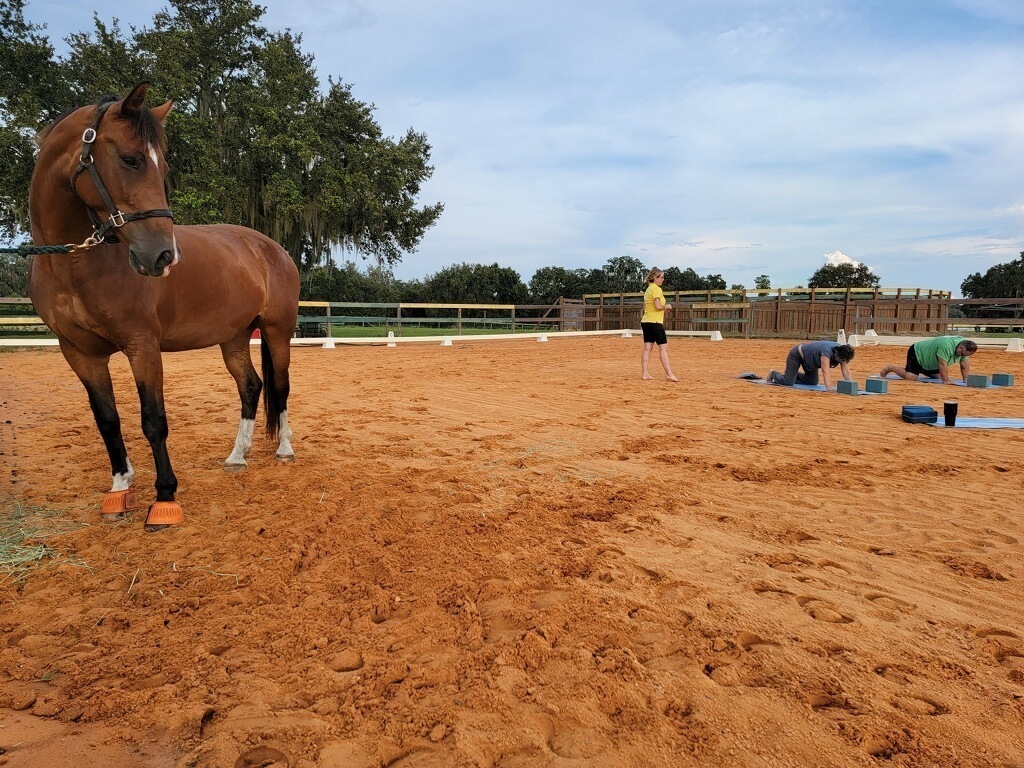Yoga with Horses for Veterans, Clermont, Florida, United States