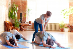Hatha yoga Teacher Training