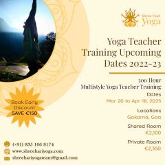 300 Hour Multistyle Yoga Teacher Training 3