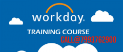 Call@7993762900.No.1 Workday HCM Online Training institute in Hyderabad,Banglore,Pune,Chennai,india
