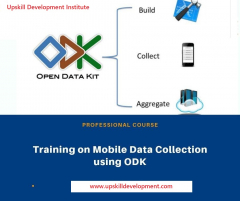 Mobile Data Collection using ODK and KoboToolBox Course