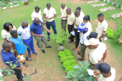 Training on Establishing and Strengthening Farmer Organizations