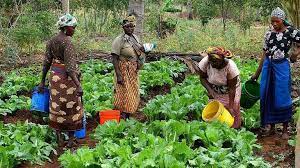TRAINING WORKSHOP ON IMPACT ASSESSMENT IN FOOD AND NUTRITION SECURITY PROJECTS AND PROGRAMMERS., Nairobi, Kenya