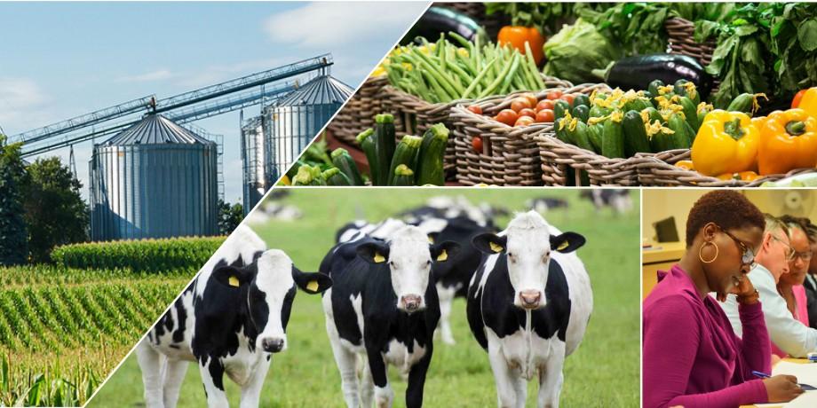 TRAINING COURSE ON INNOVATIVE WAYS OF PROMOTING ENTREPRENEURSHIP AND AGRIBUSINESS DEVELOPMENT., Pretoria, South Africa