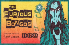The Furious Bongos Halloweenish Tour