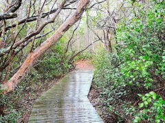 NC Birding Hikes
