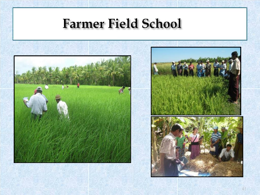 FARMER FIELD SCHOOL (FFS) WORSHOP, Nairobi, Kenya