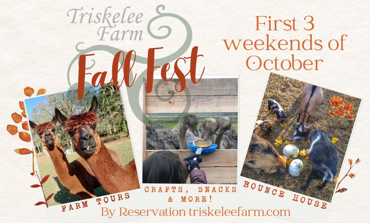 Triskelee Farm Fall Fest 2022, West Linn, Oregon, United States