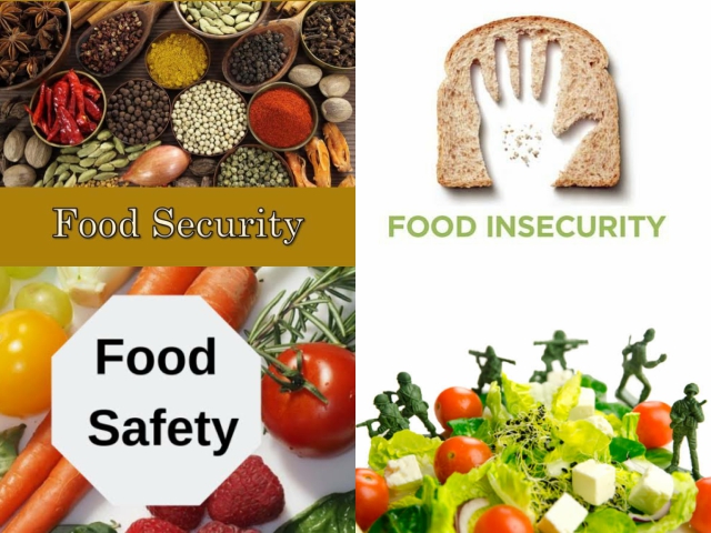 FOOD SECURITY, SAFETY AND QUALITY WORKSHOP, Nairobi, Kenya