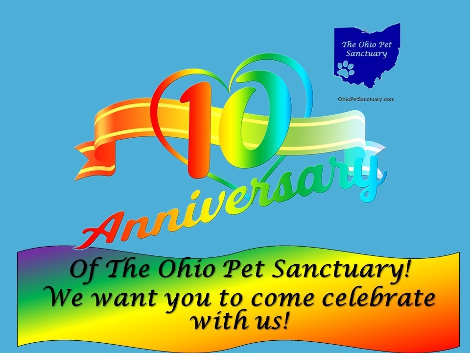 The Ohio Pet Sanctuary's 10 Year Anniversary, Cincinnati, Ohio, United States