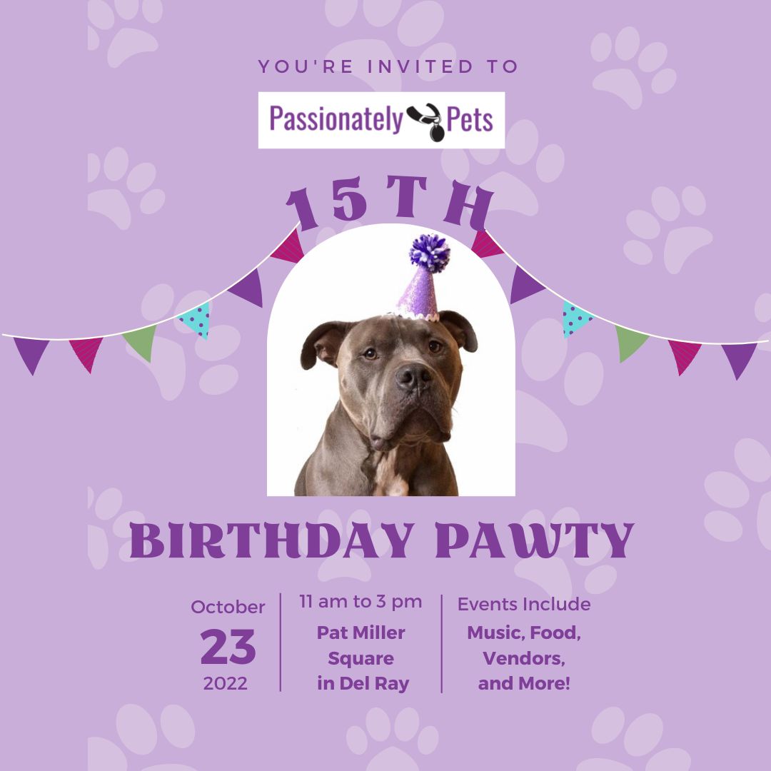 Passionately Pets' 15th Birthday Pawty and Community Celebration, Alexandria, Virginia, United States