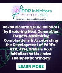 6th DDR Inhibitors Summit