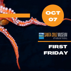 First Friday After Hours: Maritime Mysteries and Monsters