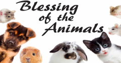 BLESSING OF THE ANIMALS