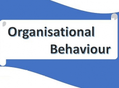 TRAINING COURSE ON ORGANISATIONAL DESIGN AND BEHAVIOUR