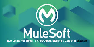 Mulesoft Certification Online, Online Event