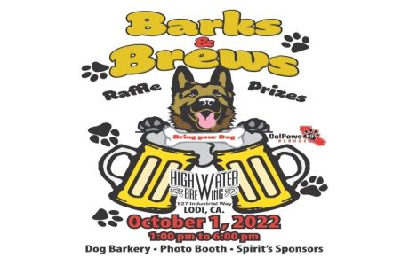 Barks And Brews, Lodi, California, United States