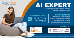 Artificial Intelligence Expert in Bangalore-October'22