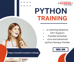 Best Python Online Training in Hyderabad-NareshIT