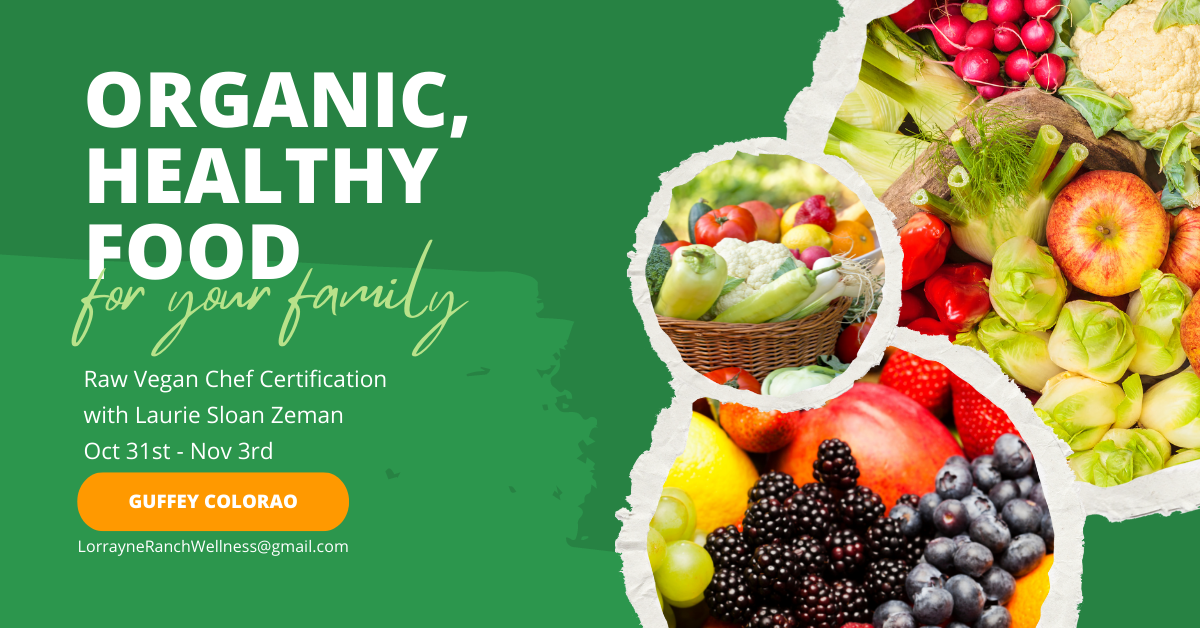Raw Vegan Chef Certification Intensive, Park, Colorado, United States