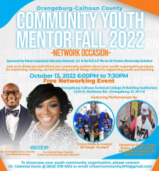 Youth Mentoring-Tutoring-Activity Organization Networking Event