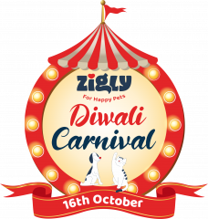 Celebrate The Festive Season With Your Fur Buddies With Zigly’s First-Ever Diwali Carnival