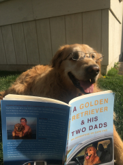 Wild About Harry  free film Screening & A Golden Retriever & His Two Dads Book-signing