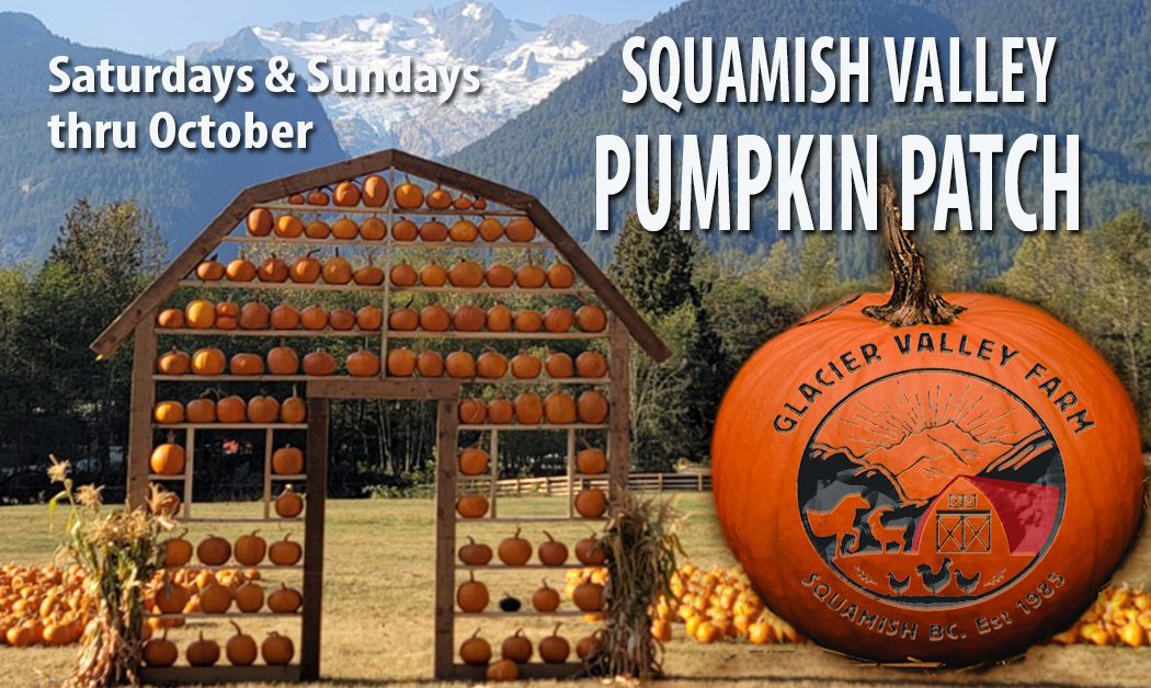 Squamish Valley Pumpkin Patch, Squamish-Lillooet, British Columbia, Canada