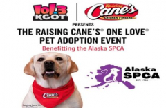 Raising Cane's Alaska SPCA Pet Adoption Fair