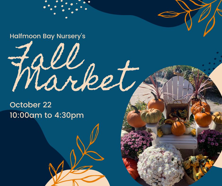 Fall Market at the Halfmoon Bay Nursery, Halfmoon Bay, British Columbia, Canada
