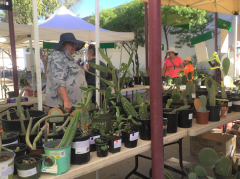 Maricopa County Master Gardeners and Metro Tech High School Fall Festival and Plant Sale