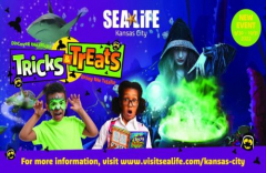 Tricks and Treats - Missouri