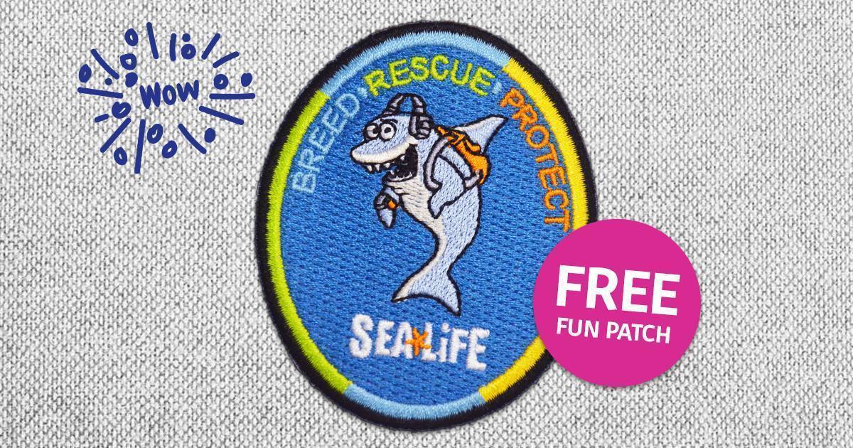 Scout Days at SEA LIFE Michigan Aquarium - Scout event in Metro Detroit, Auburn Hills, Michigan, United States