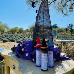 Fun Witch Festival at the Lavender Farm in Oracle on Saturday October 29th at 3pm!