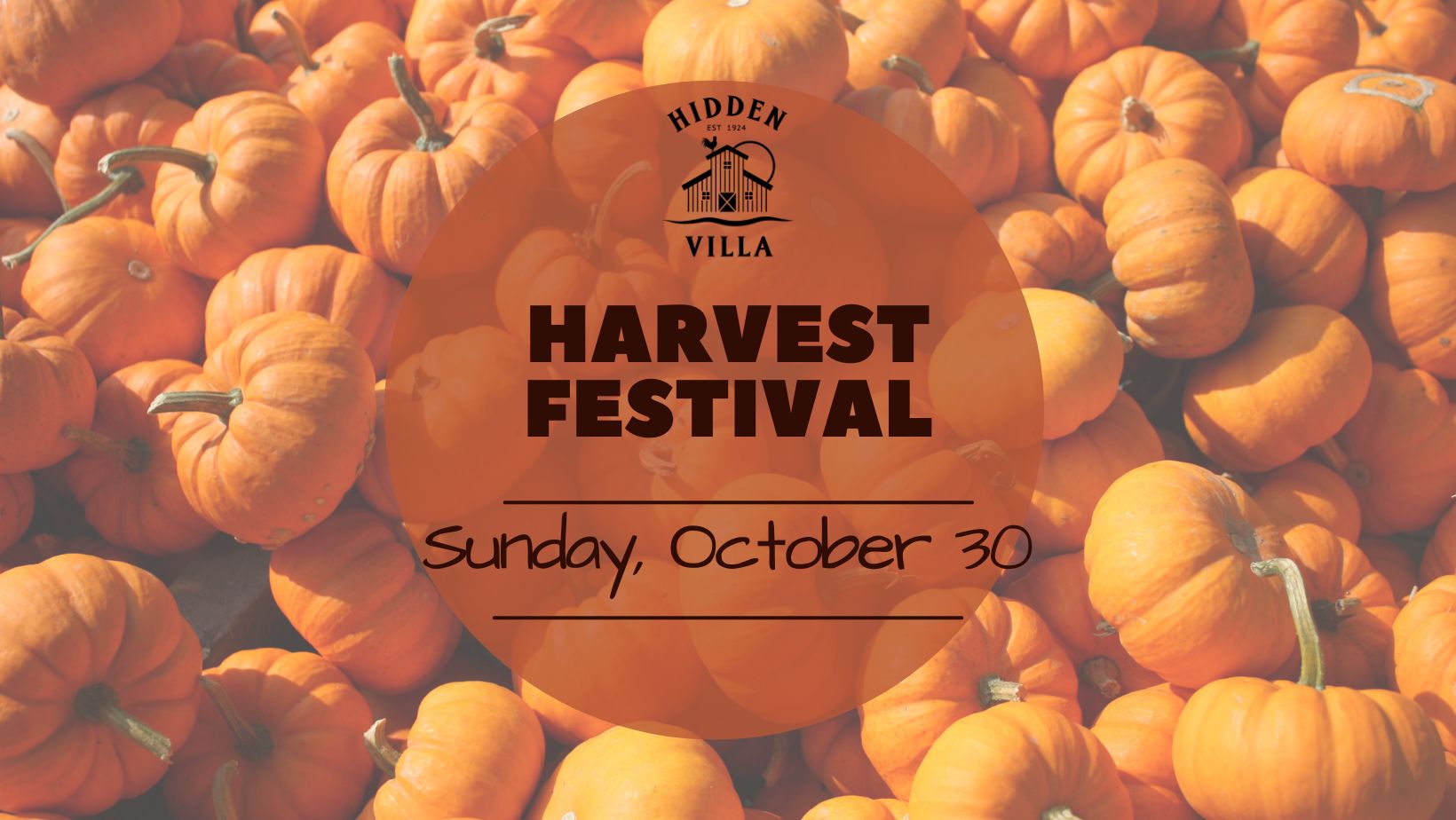 Harvest Festival, Los Altos Hills, California, United States