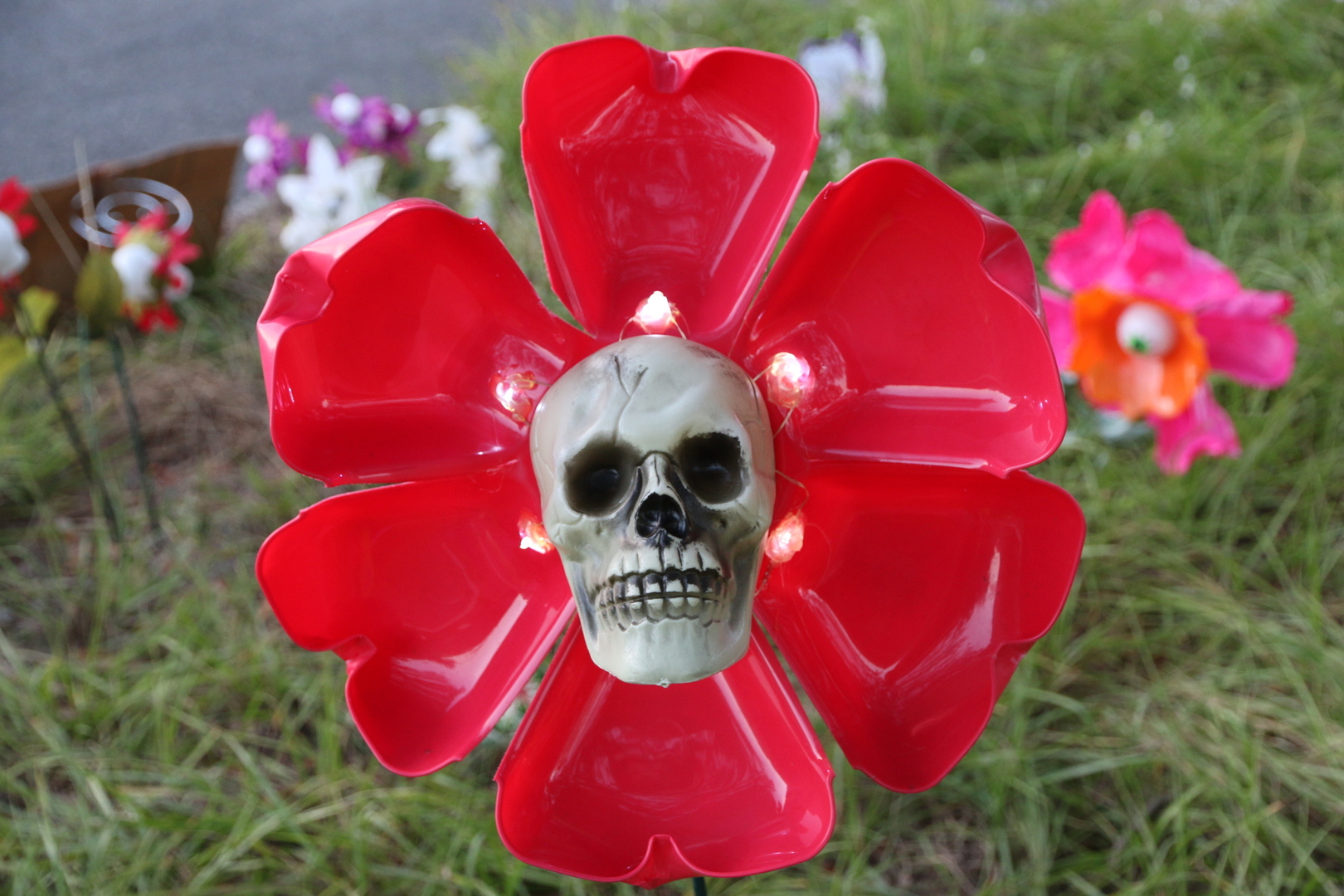 Halloween on S. Lime Ave, Sarasota, Florida, United States