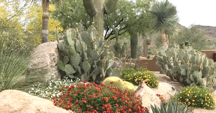 Wickenburg Home and Garden Tour, Wickenburg, Arizona, United States