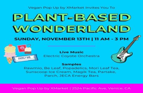 Plant-based Wonderland at Vegan Pop-up by XMarket in Venice, Los Angeles, California, United States