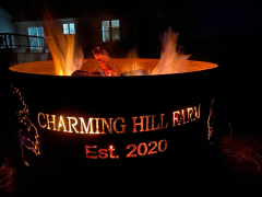Charming Hill Farm Fall Fest