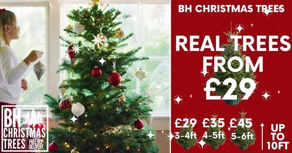The Christmas Tree Warehouse, Bournemouth, Dorset,England,United Kingdom