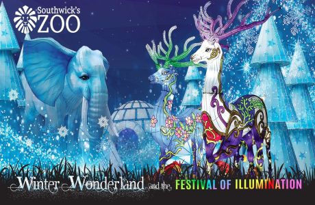 Winter Wonderland and the Festival of Illumination, Mendon, Massachusetts, United States