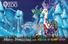 Winter Wonderland and the Festival of Illumination