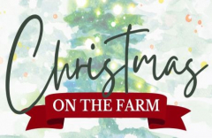Christmas at Walnut Grove Farm - Thanksgiving Weekend - Celebrating Local Art And Small Businesses