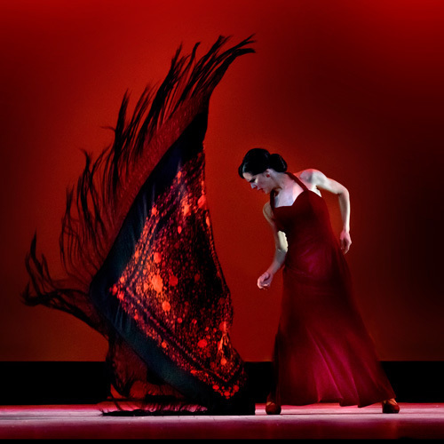 Irene Rodriguez Flamenco, Tampa, Florida, United States