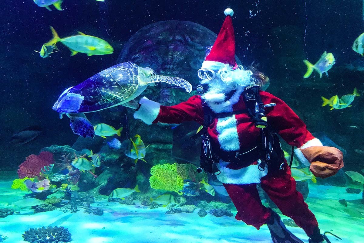 FISH-mas - Winter Holiday Event at SEA LIFE Michigan Aquarium, Auburn Hills, Michigan, United States