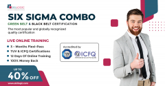 ONLINE SIX SIGMA COMBO COURSE