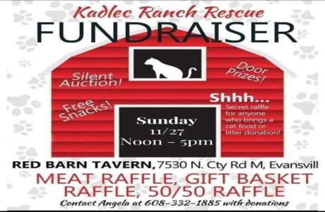 Red Barn Fundraiser for Kadlec Ranch Rescue, Evansville, Wisconsin, United States