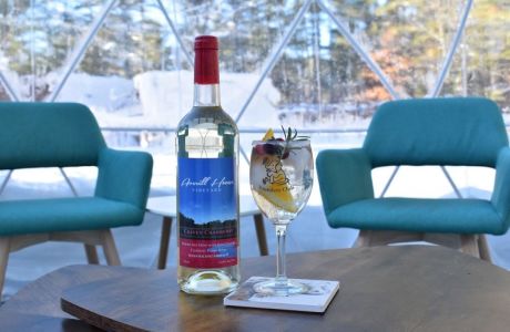 Vine to Wine Igloo and Gazebo Experience, Brookline, New Hampshire, United States