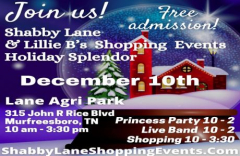 Shabby Lane and Lillie B's Shopping Events Holiday Splendor